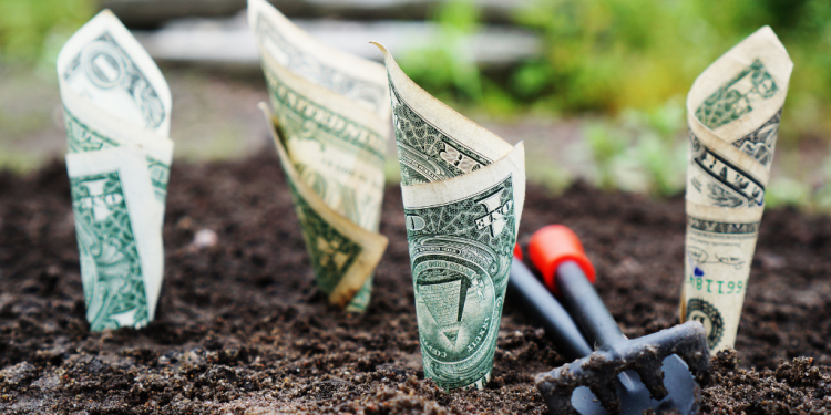 Money growing