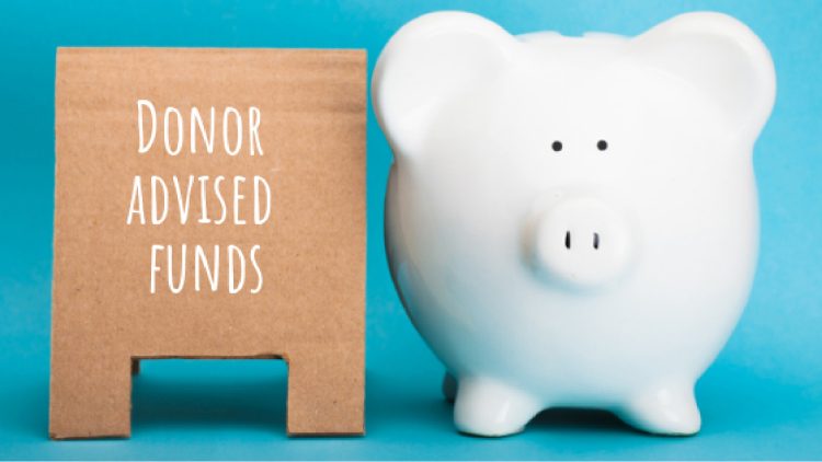 Donor Advised Fund and Piggy Bank