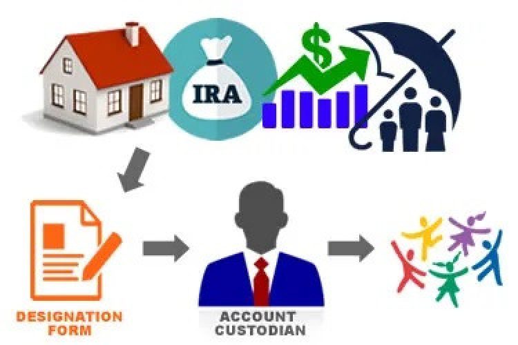 Designation infographic